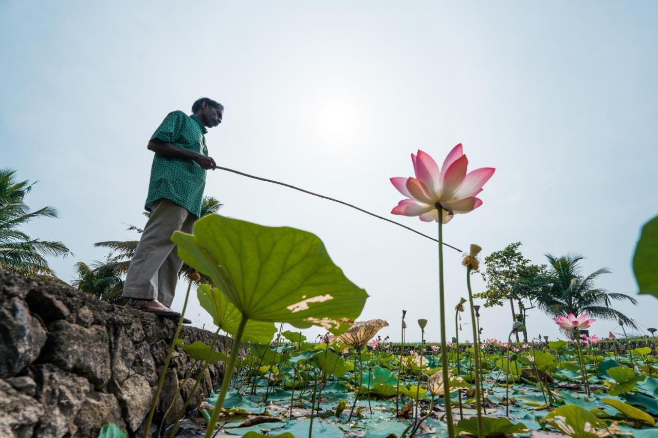 Ama Stays & Trails, Pathiramanal Villa Alappuzha Eksteriør billede